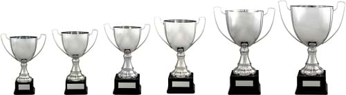 Amazing Value Traditional Trophy Cups 2184 Series